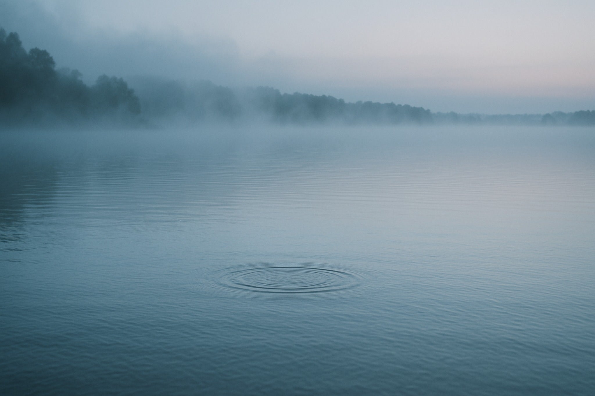 Cover image — 音のない朝 (mistlake)